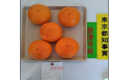 「市川さんの柿」太豊２ｋｇ