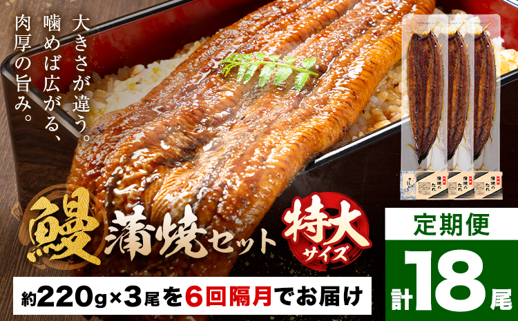 【隔月定期便全6回】＼特大サイズ／ 鹿児島県産 鰻蒲焼真空セット！ 3尾 タレ・山椒付！ 株式会社薩摩川内鰻 《お申込み翌月から出荷》 鹿児島県 さつま町 送料無料 ウナギ 丑の日 うなぎ 刻み グルメ 特大 鰻 蒲焼 真空