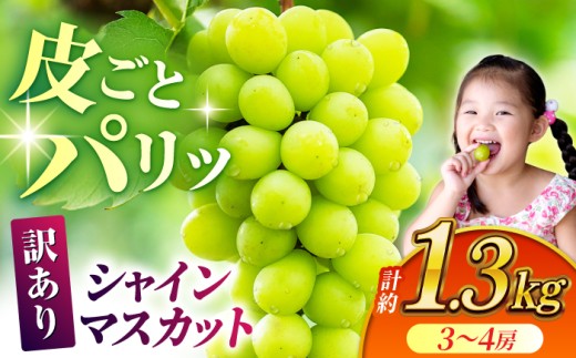 【訳あり】 シャインマスカット 約1.3kg(3～4房)【合同会社 社方園】 [ZBZ029]