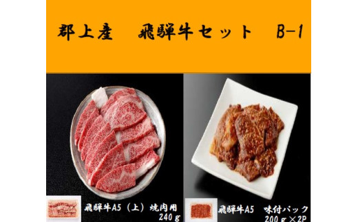 【B-88】郡上産飛騨牛セットB-１［A5等級］味付肉200g×2P・(上)焼肉240ｇ