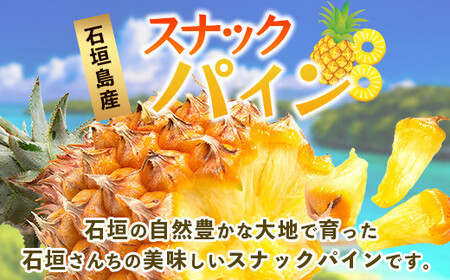 【先行予約】石垣島産 スナックパイン (4玉 約3㎏) 《5月上旬頃より順次発送》【 産地直送 沖縄 石垣 パイナップル フルーツ 】TP-8