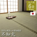 【ふるさと納税】い草 上敷き 不知火 江戸間 6畳 261×352cm カーペット 畳 カバー 汚れ防止 日焼け防止 和風 和 八代市産 国産 日本製 送料無料