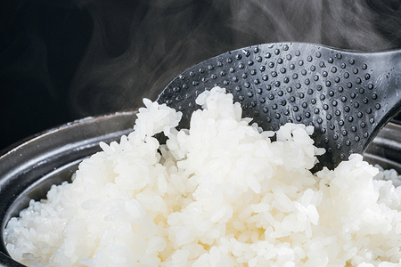 新潟産 コシヒカリ【精米】 10kg（5kg×2袋） ミネラル豊富な土壌で育ったお米 加茂市 太蔵ファーム