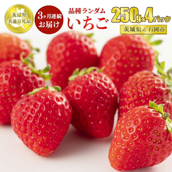 【ふるさと納税】【先行予約】【茨城県共通返礼品　石岡市産】【定期便】いちごの3ヶ月連続お届けセット（250g×4パック）×3回 ※2026年1月～3月下旬頃より順次発送予定