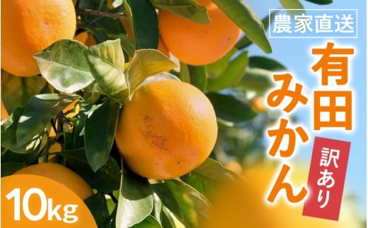 【訳あり】農家直送 有田みかん 約10kg ご家庭用 サイズ混合（お届け日指定不可）【年先行予約】※2025年11月中旬より順次発送予定 ※北海道・沖縄・離島への配送不可　訳ありみかん 温州みかん サイズ混合 訳ありみかん 温州みかん 有機質肥料100% ふるさと納税 柑橘 有田 産地直送 みかん ミカン 【nuk138H】