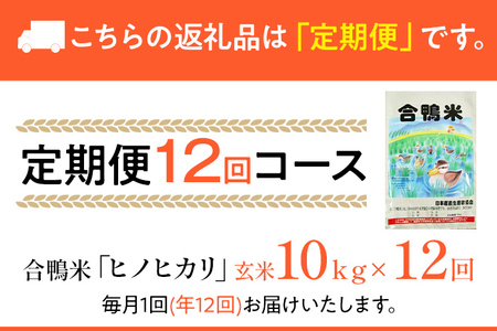 合鴨米「ヒノヒカリ」（玄米・10ｋｇ）定期便12回コース　BI07　※2023年10月中旬より順次出荷予定