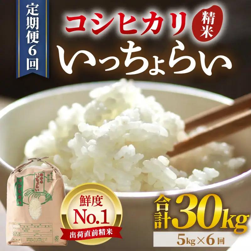【先行予約】【令和8年産・新米】【一等米】《定期便6回》いっちょらい 精米 5kg × 6回（計30kg）／ 福井県産 ブランド米 コシヒカリ ご飯 白米 新鮮 大賞 受賞 新米 福井県あわら産 ※2026年10月上旬以降順次発送予定 [aw012-e005]