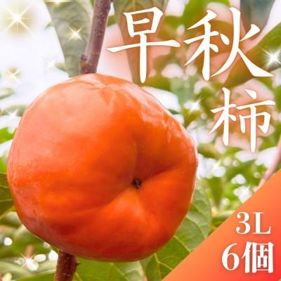 ふるさと納税 大野町 真っ赤で大きくて甘い!【早秋柿】 3L×6個 秀品 岐阜県 大野町(2025年10月中旬〜発送)