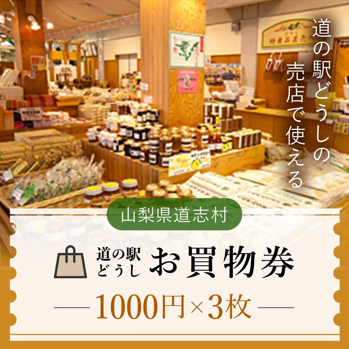 道の駅どうし お買物券（３枚）※着日指定送不可 DSH004