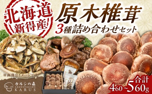 原木椎茸 生･乾燥 詰め合わせセット | 合同会社カルシ [BNAU001] 椎茸 乾燥シイタケ 乾椎茸 シイタケ しいたけ siitake 原木椎茸 生しいたけ 国産しいたけ 北海道椎茸 肉厚 原木栽培 高級 きのこ 野菜 国産 北海道産 十勝 北海道