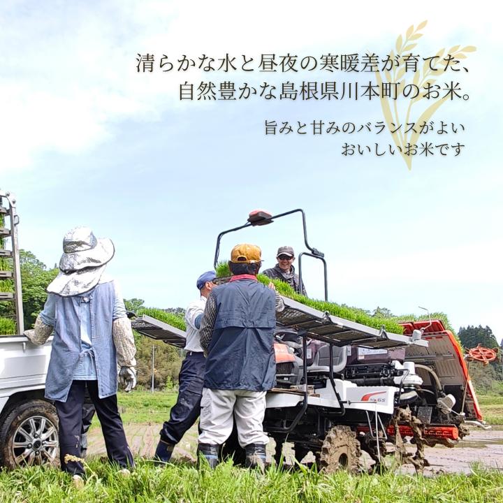 150261【令和8年産／お米定期便／12ヵ月】しまね川本こしひかり5kg(計60kg）