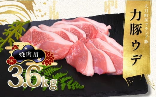 国産 豚肉 ウデ肉 焼肉用3.6kg (200g×18P)｜力豚 小分け 使いやすい ブランド豚 脂 うで肉 真空パック 冷凍 ポーク 焼き肉 旨み 濃い 家族焼肉 BBQ 大容量 お取り寄せ 簡単調理 配達日指定可  おすすめ 人気 高知県 大月町