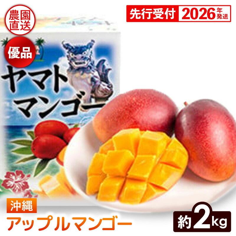 【ふるさと納税】【化粧箱入】【先行受付・2026年発送】ヤマト農園 アップルマンゴー約2kg（優品）- 先行予約 沖縄県産 産地直送 南国フルーツ 旬の味覚 季節の果物 贈り物 ギフト 沖縄県 八重瀬町