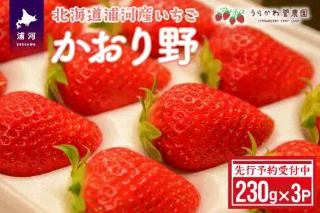 【先行受付開始！】北海道浦河産いちご「かおり野」230g×3P[13-113]