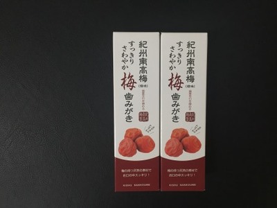 紀州南高梅　すっきりさわやか梅歯みがき　koya001