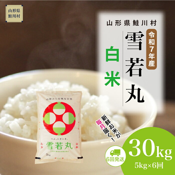 【ふるさと納税】＜令和7年産米＞ 鮭川村 雪若丸 【白米】 定期便 30kg （5kg×1ヶ月間隔で6回お届け）＜配送時期選べます＞