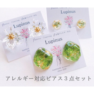 【ふるさと納税】本物のお花を使用!レジンのアクセサリー　3点セット【1515242】