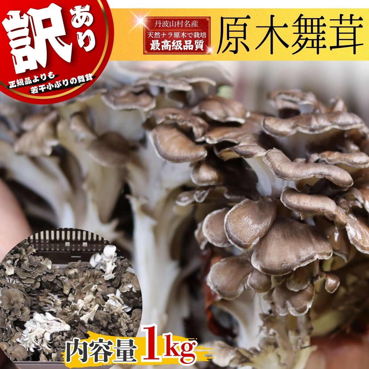 【ふるさと納税】【2027年発送分先行予約】訳あり 丹波山村産 原木舞茸 約1kg 2027年秋頃より順次発送予定 / 丹波山名産 希少 無農薬 無添加 舞茸 まいたけ わけあり 規格外 正規品より若干小振り 原木栽培 きのこ キノコ 産地直送【tab0240】