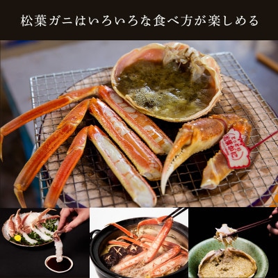 【訳あり】活〆ボイル松葉がに2杯(500～700g×2杯)【配送不可地域：離島・北海道・沖縄県・東北・信越、北陸】