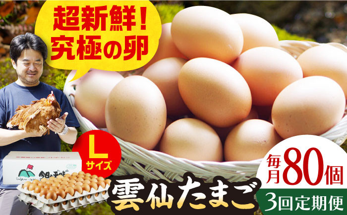 
【全3回定期便】雲仙たまご Lサイズ80個(75個＋割れ補償5個入り) 長崎県/塚ちゃん雲仙たまご村 [42ACAE017] 卵 玉子 タマゴ 鶏卵 長崎 島原 九州
