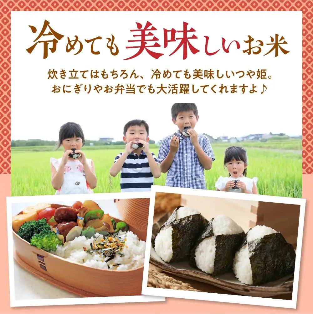 【令和7年産米】2026年9月後半発送 つや姫10kg つや姫 精米