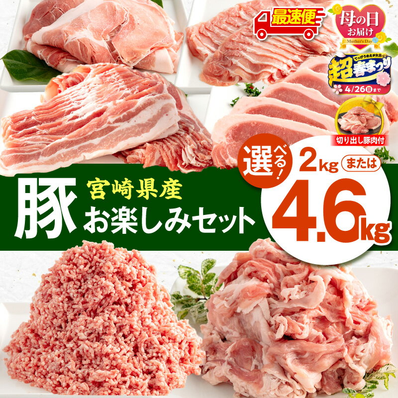 宮崎県産豚 お楽しみセット 計4kg（豚ローススライス・豚バラスライス・豚モモスライス・豚ロースとんかつ・豚切落し・豚ミンチ肉）豚肉セット