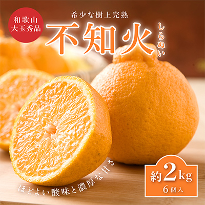 先行受付!　数量限定　不知火　樹上完熟　約2kg　大玉6個入　こだわり農家厳選!【1485757】