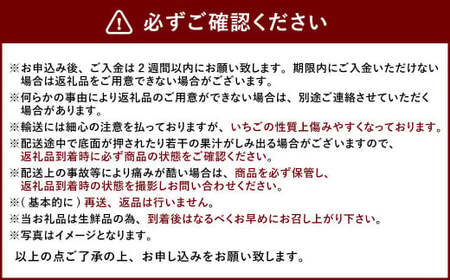 【3回定期便】あまおう 3パック いちご 苺 イチゴ フルーツ 果物【2025年1月下旬～3月下旬発送予定】