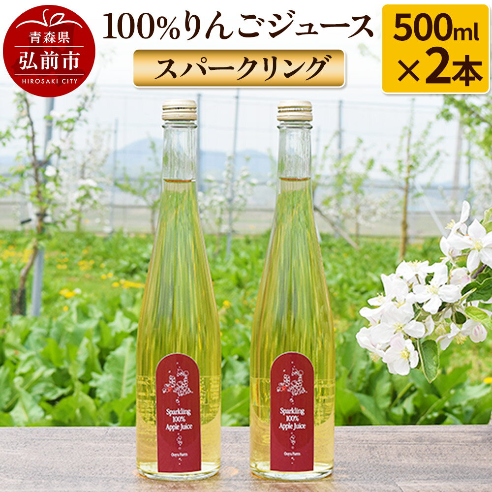 【ふるさと納税】スパークリング100％りんごジュース（2本入り） りんご果汁100％ リンゴ 果汁 林檎 飲料 アップル 果物 フルーツ 青森 飲み物 ドリンク [アップル おいしい おしゃれ ジュース フルーツジュース りんご 飲料 果実 果汁]