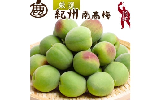 青梅 厳選 南高梅 1kg+250g（痛み補償分） /  梅 梅ジュース 梅酒 梅干し 高級 和歌山 ※5月～6月発送予定 ※北海道・沖縄・離島への配送不可　【ikd508-p-1G】