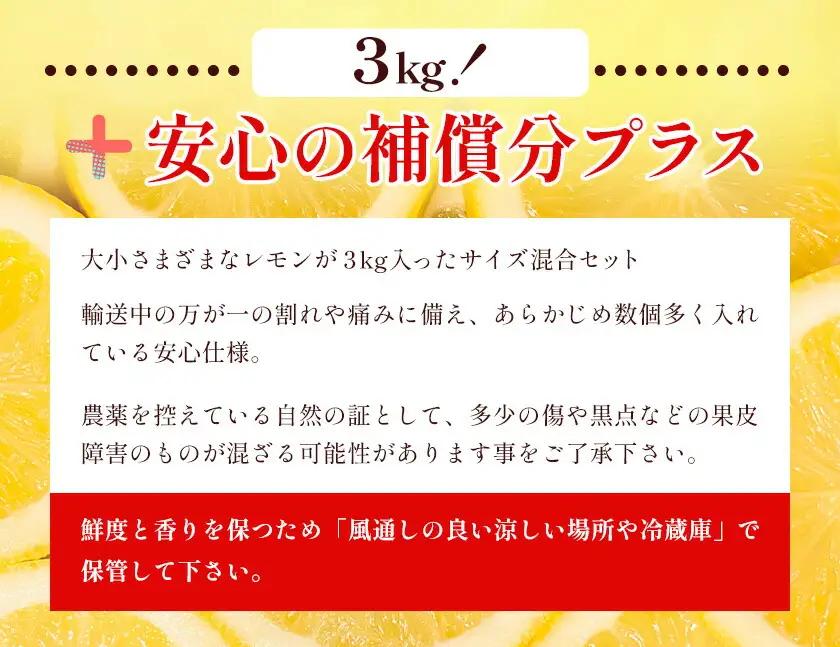 国産レモン サイズ混合 3kg エイワ商店 檸檬 レモン
