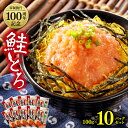 【ふるさと納税】 市制施行100周年記念 鮭とろ 100g×10パック 北海道産 鮭 さけ サケ しゃけ シャケ 秋鮭 魚 おかず ご飯のお供 冷凍 北海道 札幌市