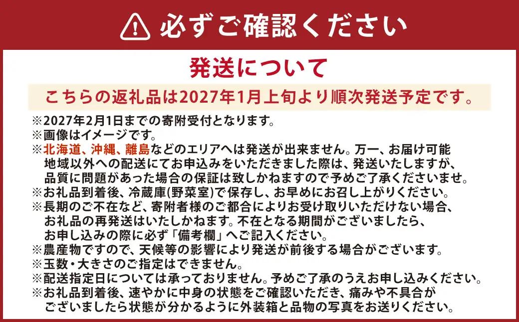 熊本県産 いちご （ゆうべに）4パック 約1000g 苺 ゆうべに【2027年1月上旬発送開始】