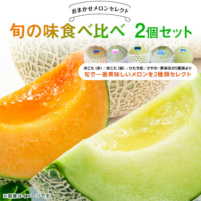 【ふるさと納税】 メロン めろん 食べ比べ 2玉 おまかせメロンセレクト 旬の味 ギフト 鉾田 果物 人気 おすすめ 贈答 茨城 お返し 先行予約 スイーツ 送料無料 味 茨城県 還元率 青肉 フルーツ めろん 鉾田市 デザート くだもの お取り寄せ 甘い メロンの森 フォレストパーク