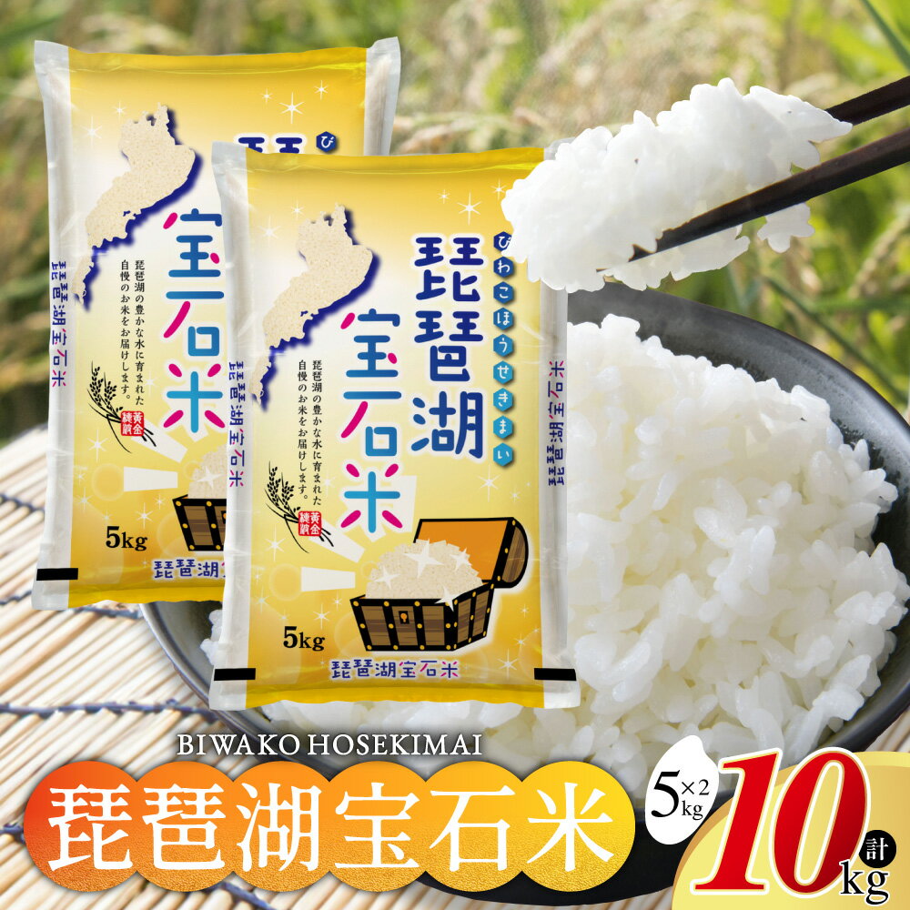 【ふるさと納税】 琵琶湖宝石米 5kg×2袋 計10kg お米 ご飯 一人暮らし 常温保存 備蓄 楽天 返礼品 寄付 お歳暮 お祝い 贈り物 故郷納税 滋賀県 東近江 近江 B-G10 中川吉兵衛商店
