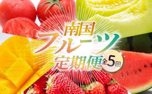 【年5回 旬のフルーツ定期便】季節のフルーツセット｜イチゴ いちご スイカ すいか マンゴー まんごー メロン めろん 果物 フルーツ トマト 定期便 ふるーつ定期便 果物定期便 旬 夏フルーツ 秋フルーツ 冬フルーツ お楽しみ くだもの 贈答 ギフト 人気 おすすめ 西島園芸団地 高知県 南国市