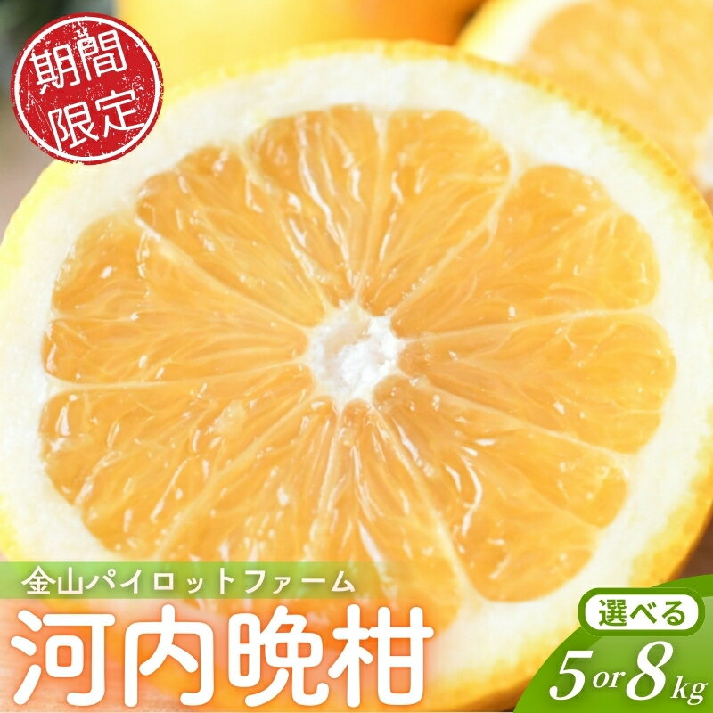【ふるさと納税】 【数量限定】金山パイロットファームの 河内晩柑 5kg 8kg 【選べる容量】 みかん ミカン フルーツ 果物 くだもの 柑橘 和製グレープフルーツ グレープ 産地直送 期間限定 国産 三重県 熊野市 送料無料 【2026年4月より順次発送】