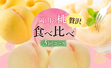桃 定期便 2026年 先行予約 岡山 の 桃 食べ比べ 3回コース もも モモ 岡山県産 国産 フルーツ 果物 ギフト 食べ物 食品 デザート 食後 果汁 きめ細やか やわらかい 岡山の果物 