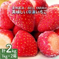 産地直送!BELL FARMの美味しい冷凍いちご　2kg【1kg×2箱】