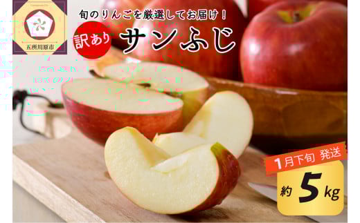 【2026年1月下旬発送】 【訳あり】 りんご 約5kg サンふじ 青森産