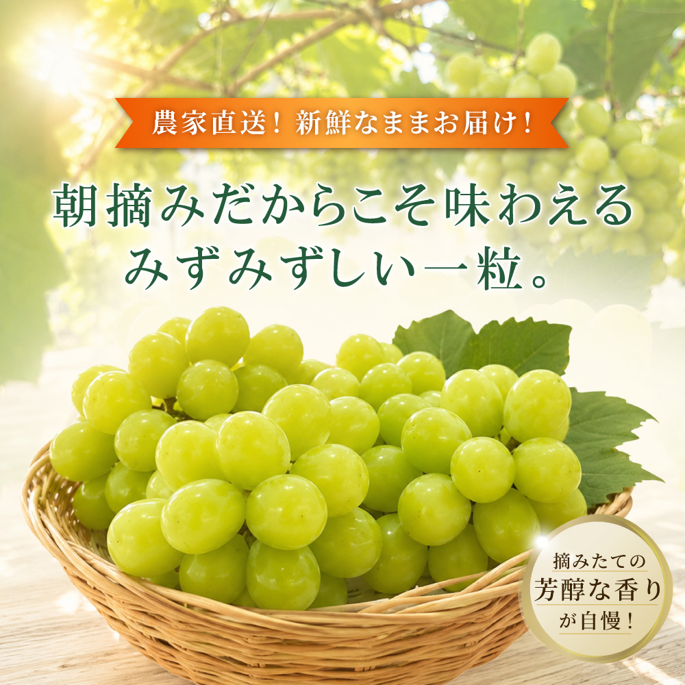 大分県産 シャインマスカット 約2kg (4～5房) 2B4
