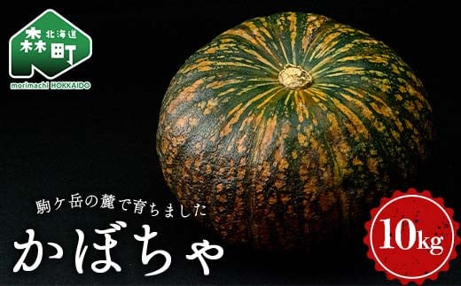 
            【先行予約】かぼちゃ（ケント）10kg（5～7玉入）　北海道森町産（2025年11月上旬以降順次発送） カボチャ 南瓜 野菜 根菜 煮物 食材 スープ サラダ かぼちゃプリン 天ぷら 北海道 森町 ふるさと納税 mr1-0940
          
