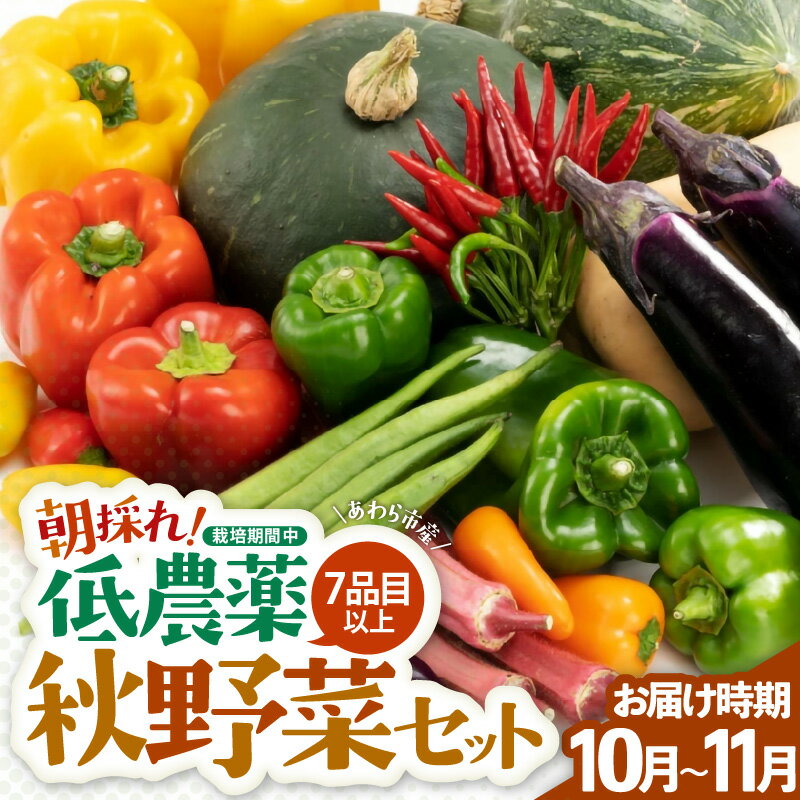 【ふるさと納税】【先行予約】農家直送 秋野菜セット 1箱 7品目以上 《元気に育った新鮮野菜！》／ 季節 秋 野菜 ボックス BOX セット セレクト 農家 おまかせ 多品目 旬 詰め合わせ 福井 あわら市 ※2026年10月下旬以降発送