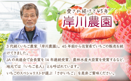  【先行予約】数量限定！佐賀県人気No.1苺”いちごさん” いちご いちご いちご いちご いちご いちご いちご いちご いちご いちご いちご いちご いちご いちご いちご いちご いちご いち