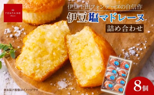 マドレーヌ 8個 伊豆塩 詰め合わせ セット 焼き菓子 洋菓子 贈答 プレゼント お菓子 おやつ お取り寄せ フォンテーヌ 静岡県 下田市 伊豆