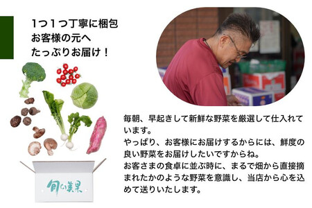 旬の新鮮野菜詰め合わせ 8種以上【野菜セット】【野菜 詰め合わせ セット夏野菜 冬野菜 旬の野菜 野菜 詰め合わせ セット夏野菜 冬野菜 旬の野菜 野菜 詰め合わせ セット夏野菜 冬野菜 旬の野菜 野