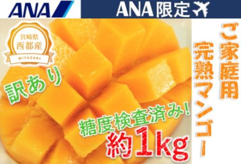 6月29日終了【ANA限定】訳あり「ご家庭用」西都産完熟マンゴー3～4玉（約1ｋｇ）《先行予約》