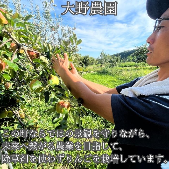 サンふじりんごジュース1L×6本 長野県 信州 南信州 高森町 果汁100% 果物ジュース ストレート 大野農園	