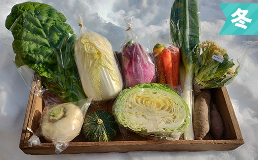 立山の旬野菜セット 新鮮 野菜 サラダ 小分け セット 農薬不使用 冷蔵 国産 食品 F6T-956