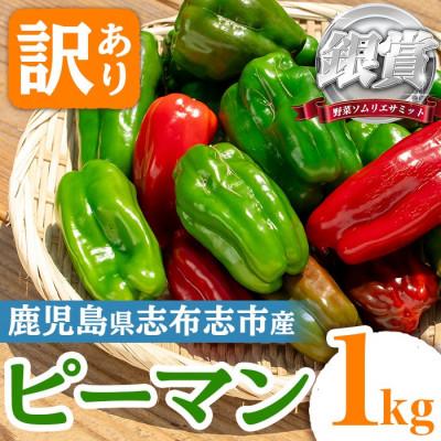 ふるさと納税 志布志市 志布志産訳ありピーマン(1kg)【野菜ソムリエサミット銀賞受賞!】